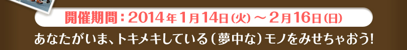 開催期間：2014年1月14日～2014年2月16日 あなたがいま、トキメキしている(夢中な)モノをみせちゃおう!